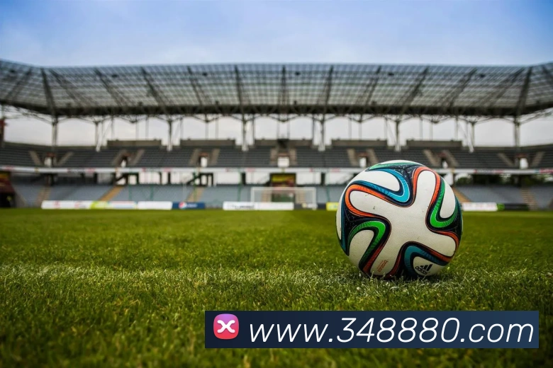 500万彩票网平台生态图